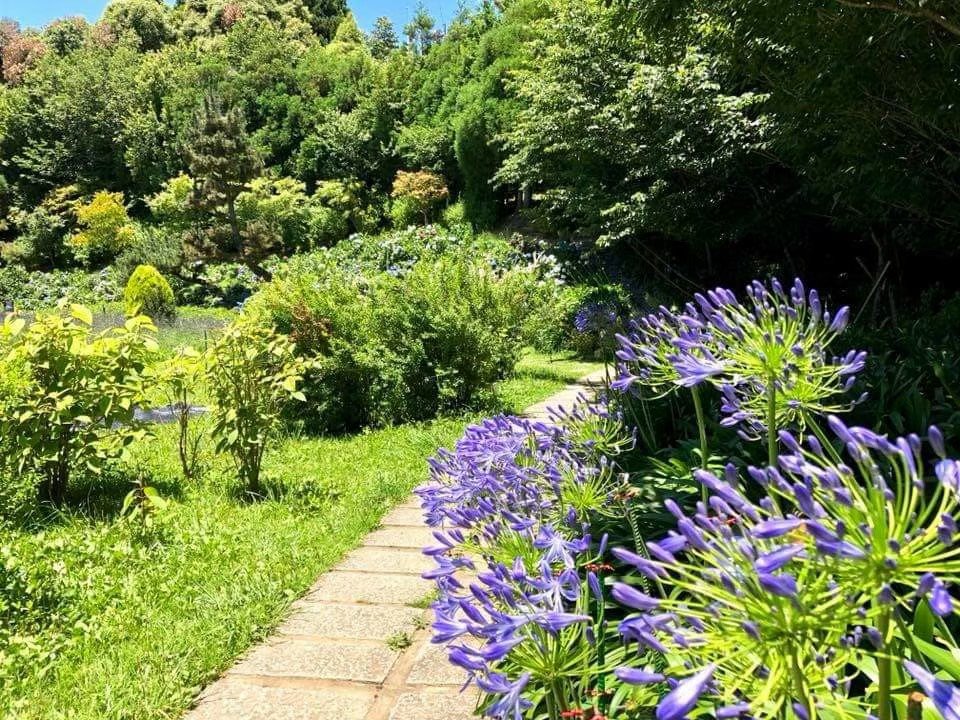 - 花園-1
