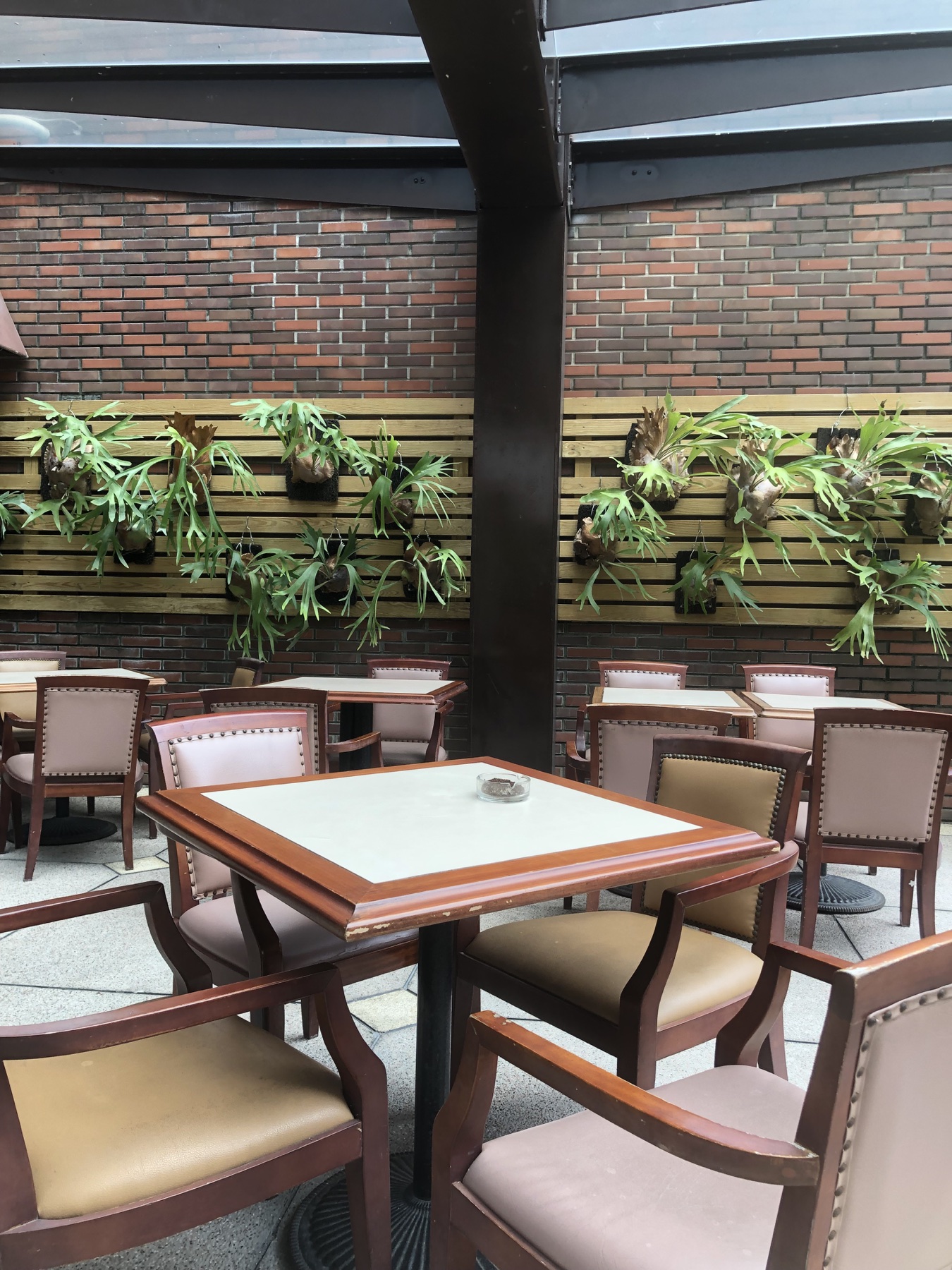 新竹迎曦大飯店植滿鹿角蕨的造景花園