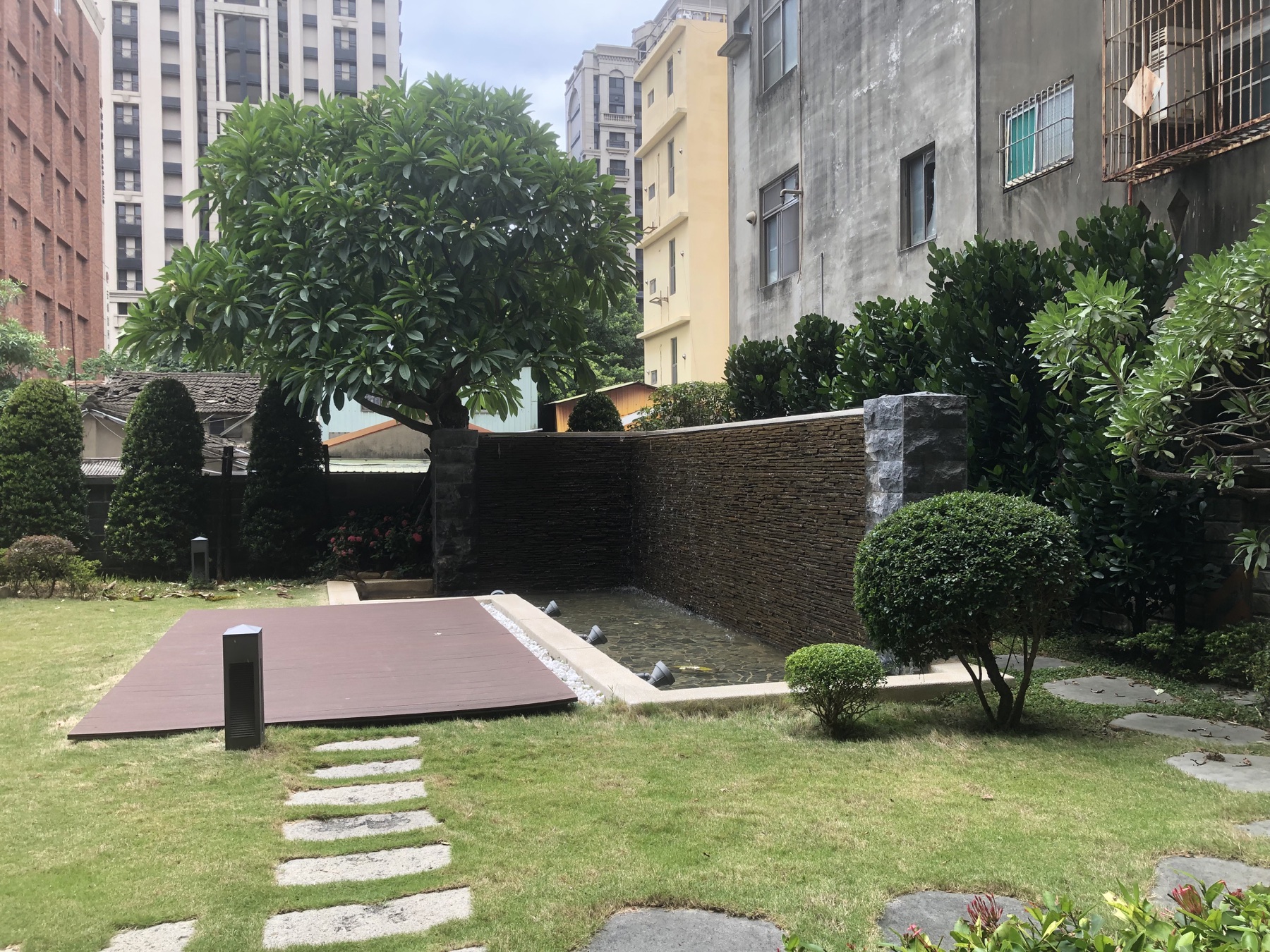 新竹迎曦大飯店植滿鹿角蕨的造景花園